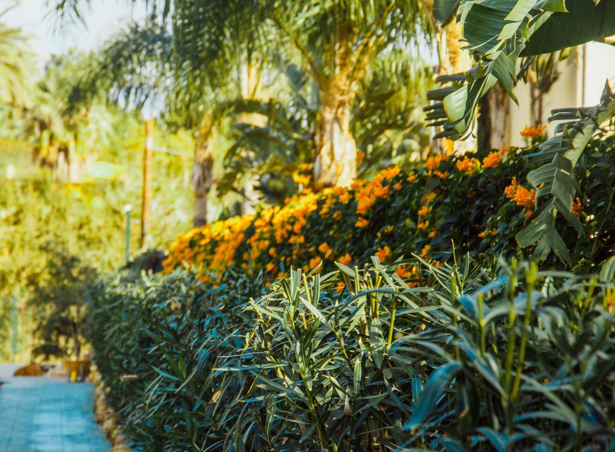 Sierra Blanca Resort Art Of Healing Marbella Exteriér fotografie